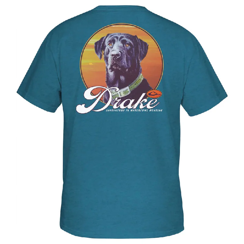 cropped t-shirts festival chic -cropped t-shirts festival chic -Drake Vintage Dog T-Shirt- Blue Steel Heather